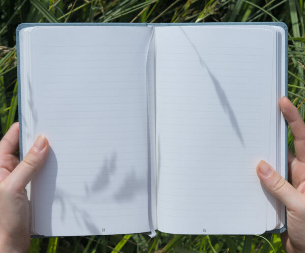 Carnet Chrysallis – Image 7