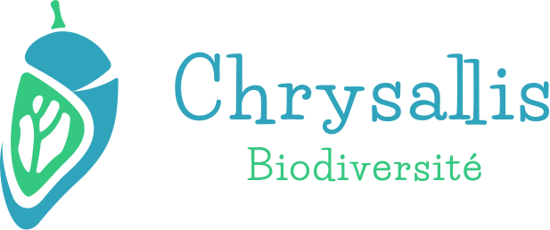 Chrysallis Biodiversité