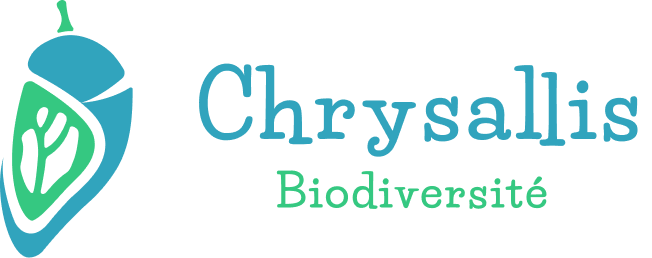Chrysallis Biodiversité