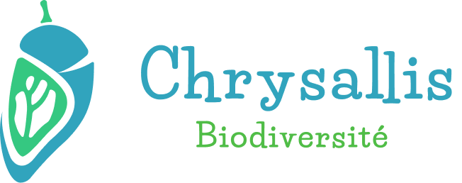 Chrysallis Biodiversité