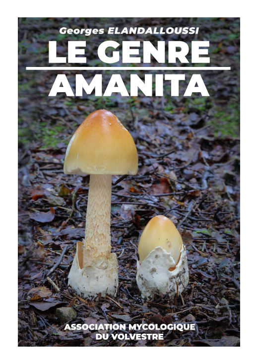 Couverture du livre Le Genre Amanita